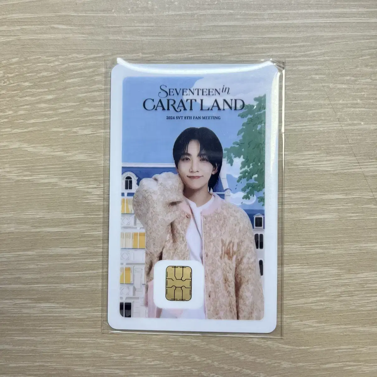 Seventeen 2024 Caratland Namane Card jeonghan WTS