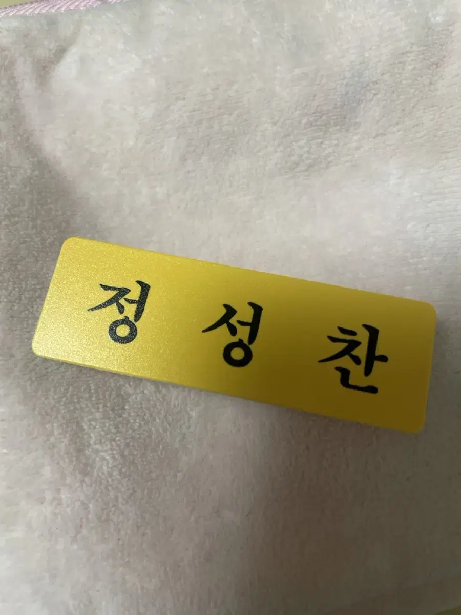 Jung Sungchan Matte Badge