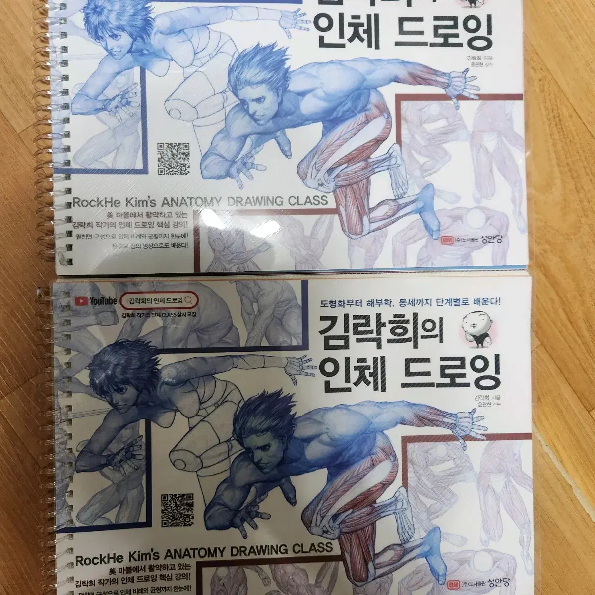 김락희의 인체드로잉 그림 작법서 스프링 제본