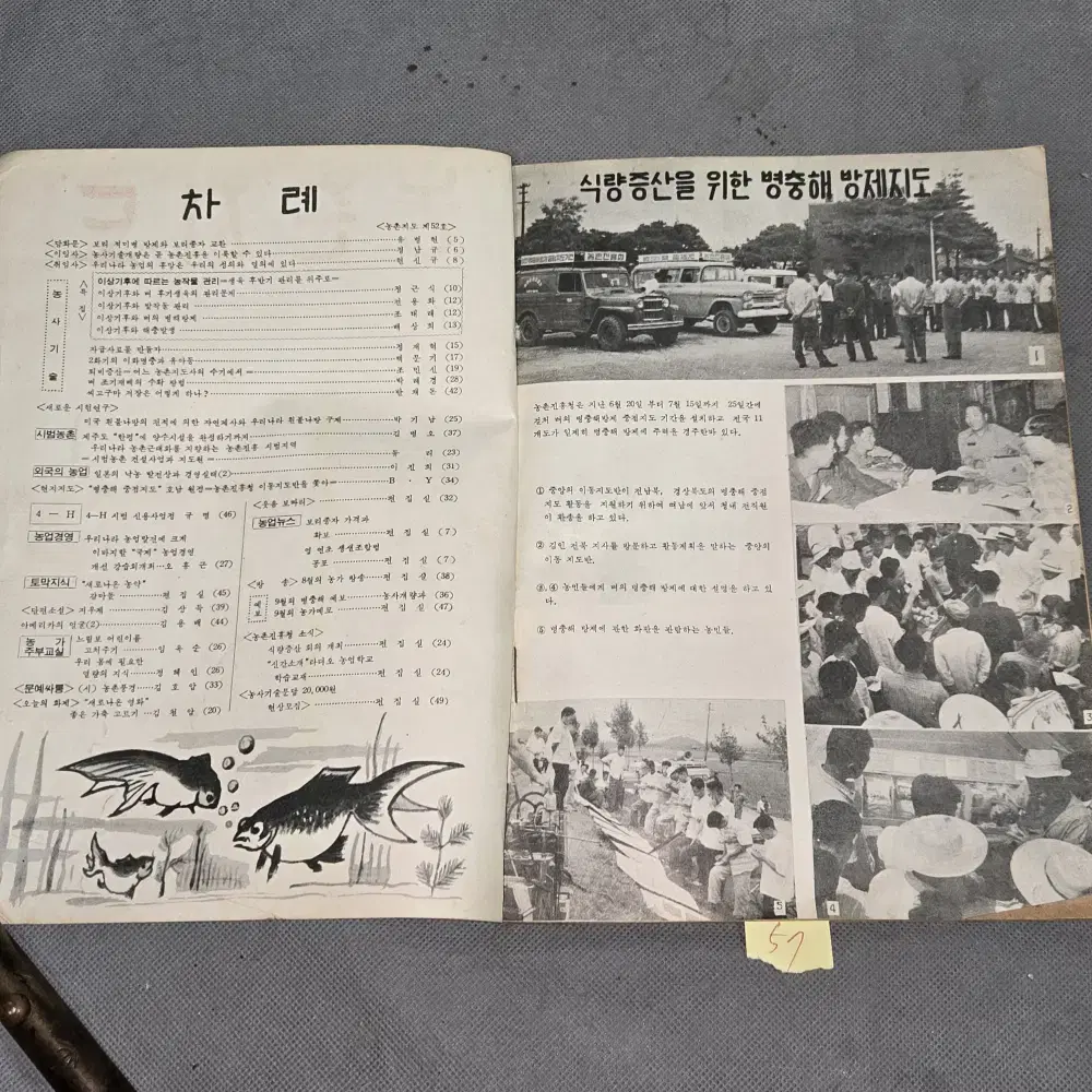 57. 1963년 8월  농촌지도 잡지