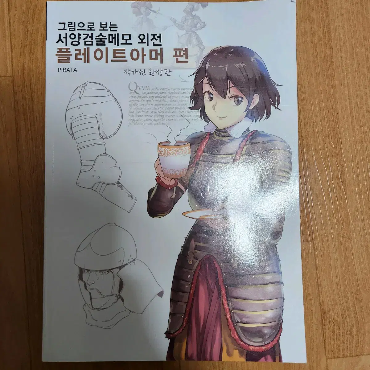 서양검술메모 플레이트아머 그림 작법서 갑옷