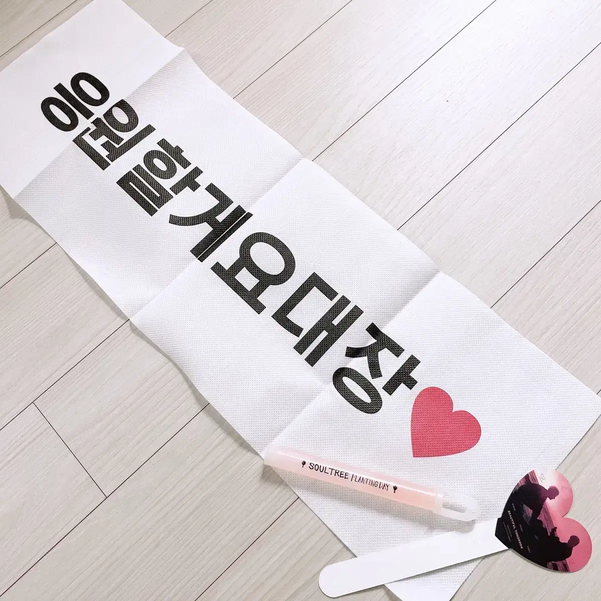 Hyo Shin Park fanmeeting slogan Glow in the dark