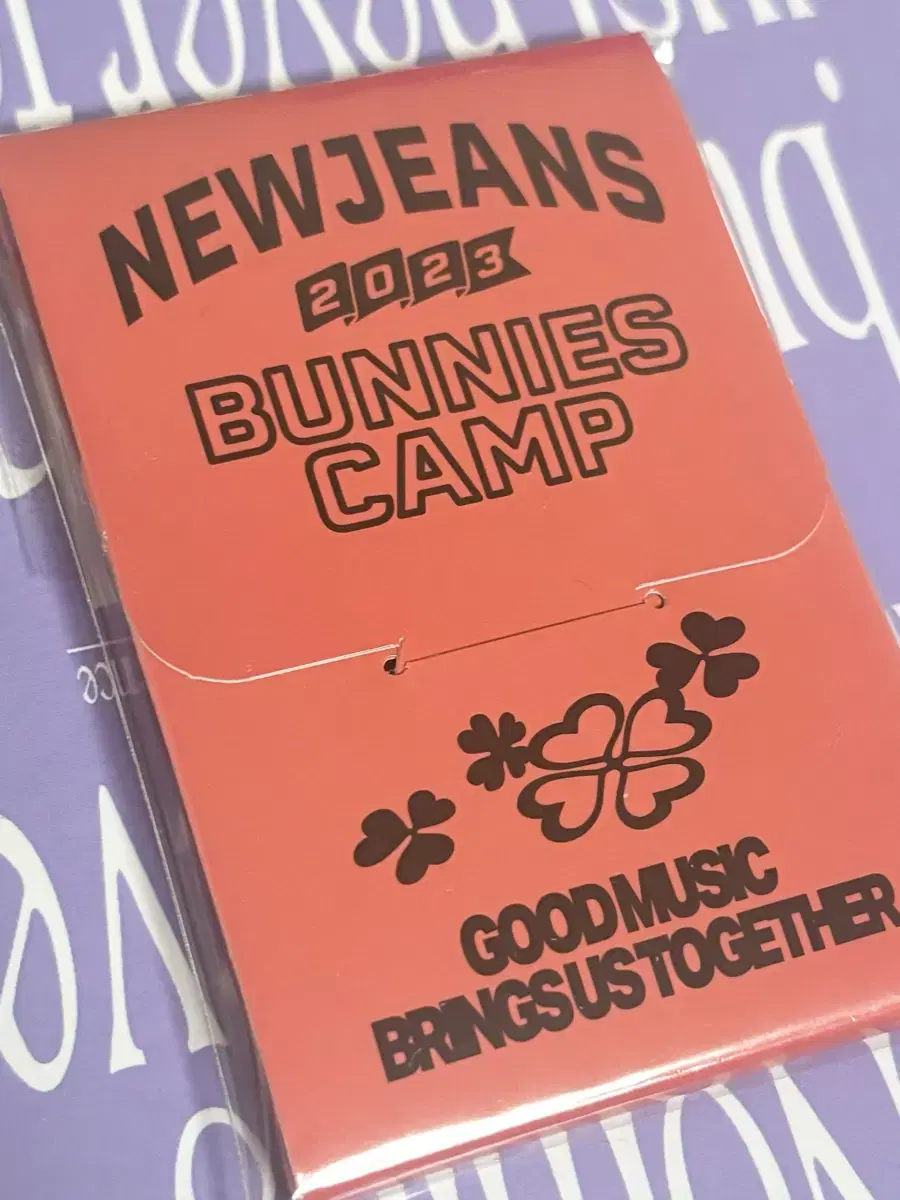 Bunnies Camp Photo Card Set