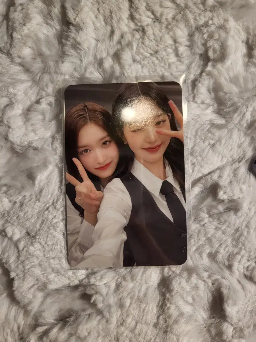 Concert MD Pack Random Photo Card Unit