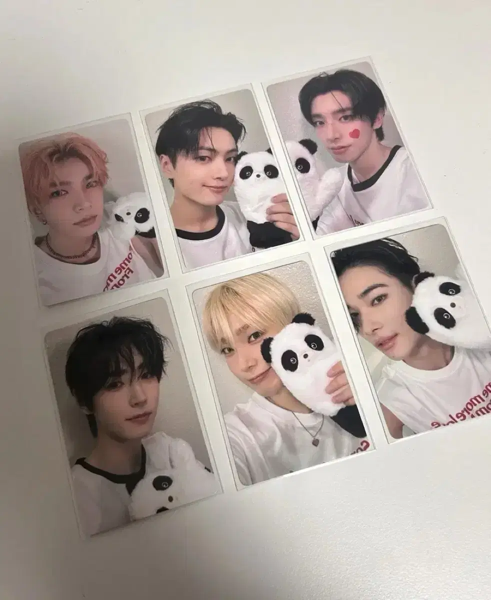 Enhypen yizhiyu 3rd unreleased photocard jungwon excluded 6 wts