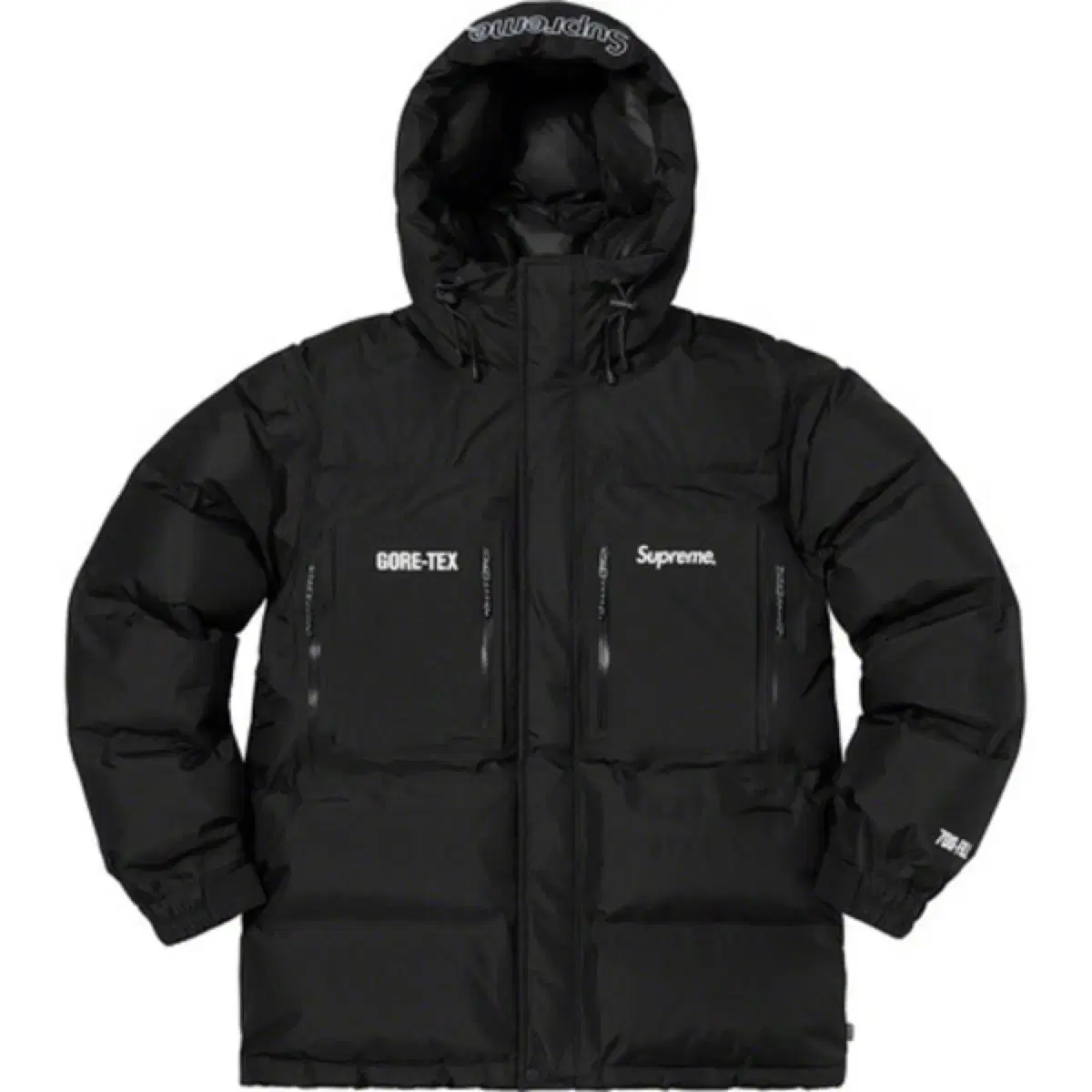 Supreme Gore-Tex 700-fill down parka black FW19