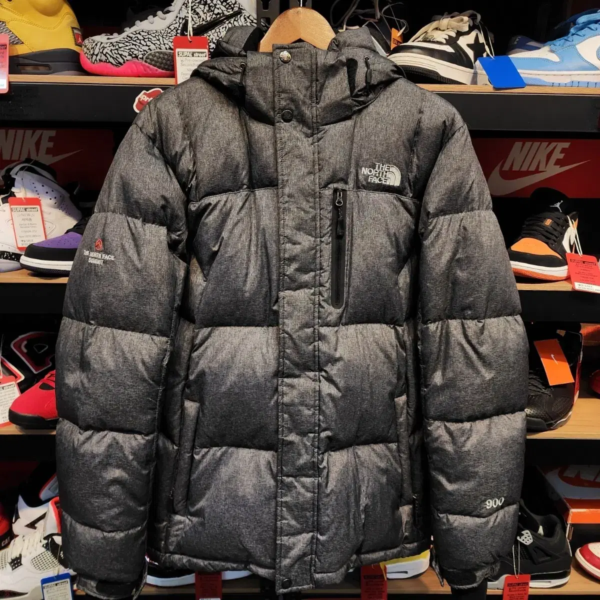 The North Face Summit Series Philpower900