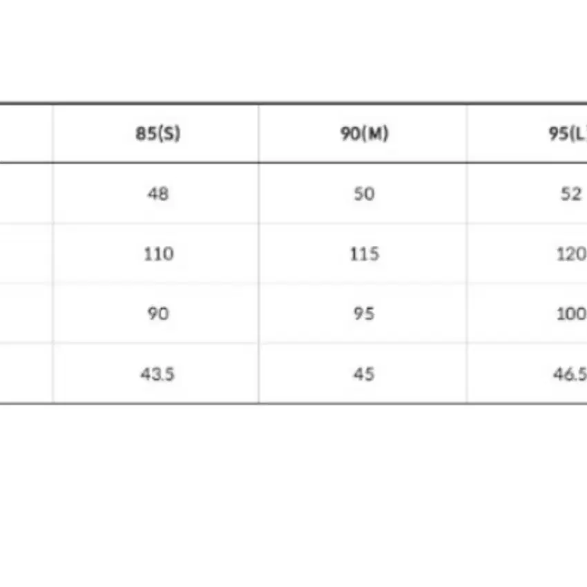 노스페이스 화이트라벨 노벨티 눕시RDS 다운베스트 블랙 95(L)