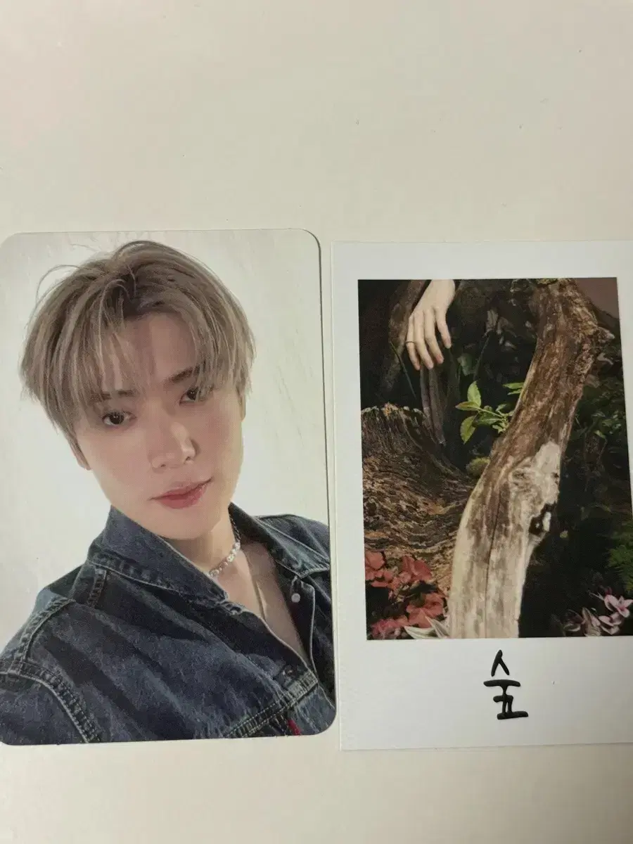 Tozai Parfums jaehyun photocard