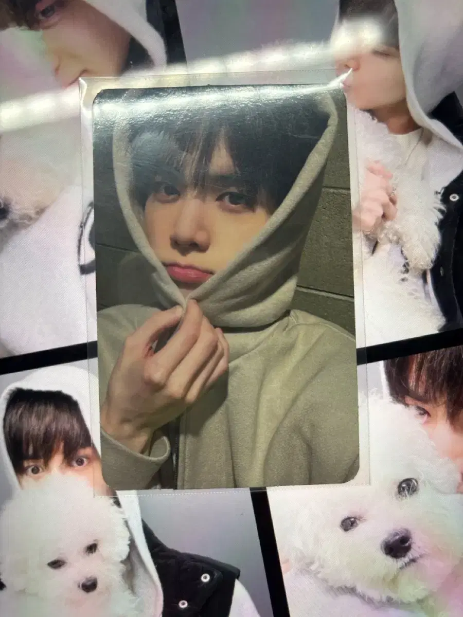 TheBoyne younghoon Lore photocard sells