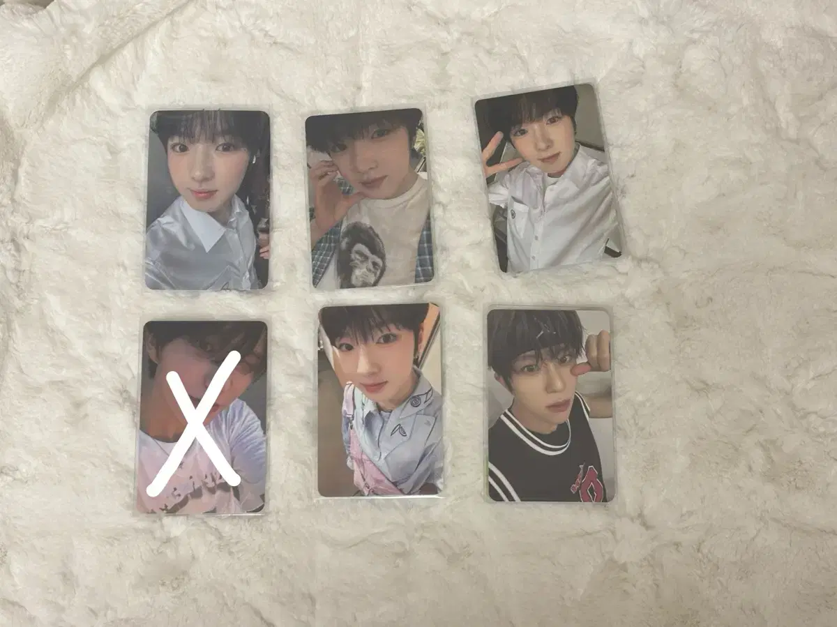 sakuya photocard 양도합니다 무료나눔 photocardmarket最低價格 양도받 riku uuushi wts sion