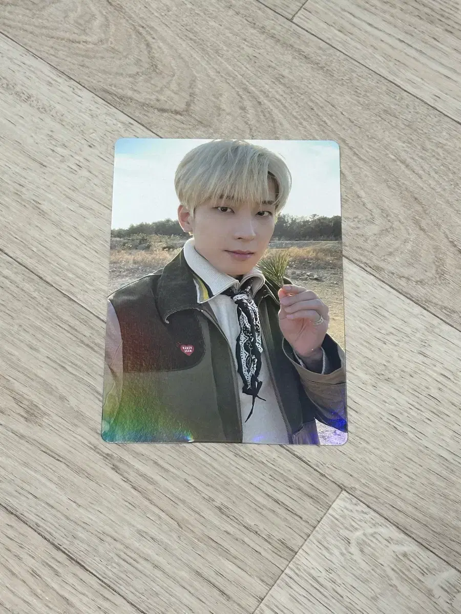 Seventeen wonwoo Feathersun hologram Framed Weverse ShopPre-Order Benefits