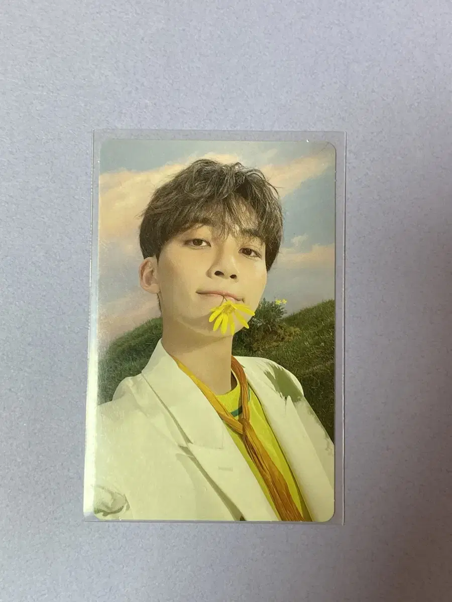 Sector17 jeonghan kit Photocard