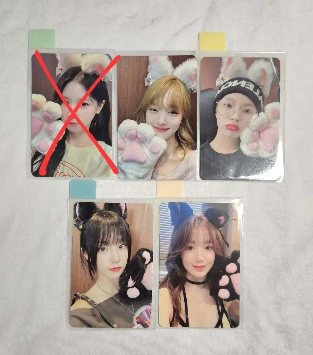 Gidles 2 makestar pre-order benefit Photocard Cat ver. wts.