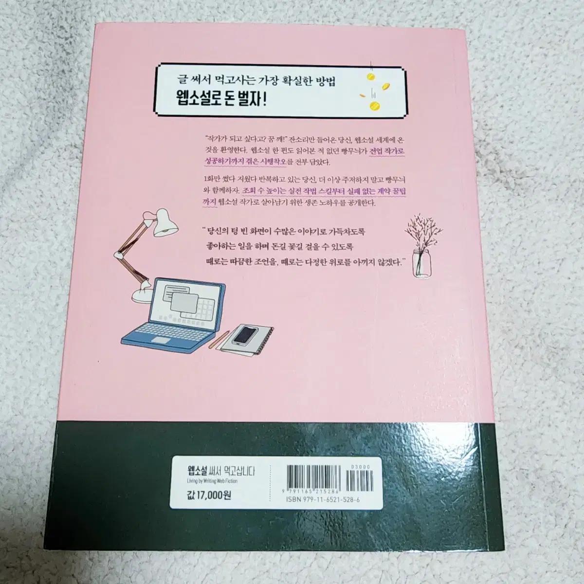 작법서) 빵무늬 정무늬 웹소설 써서 먹고삽니다