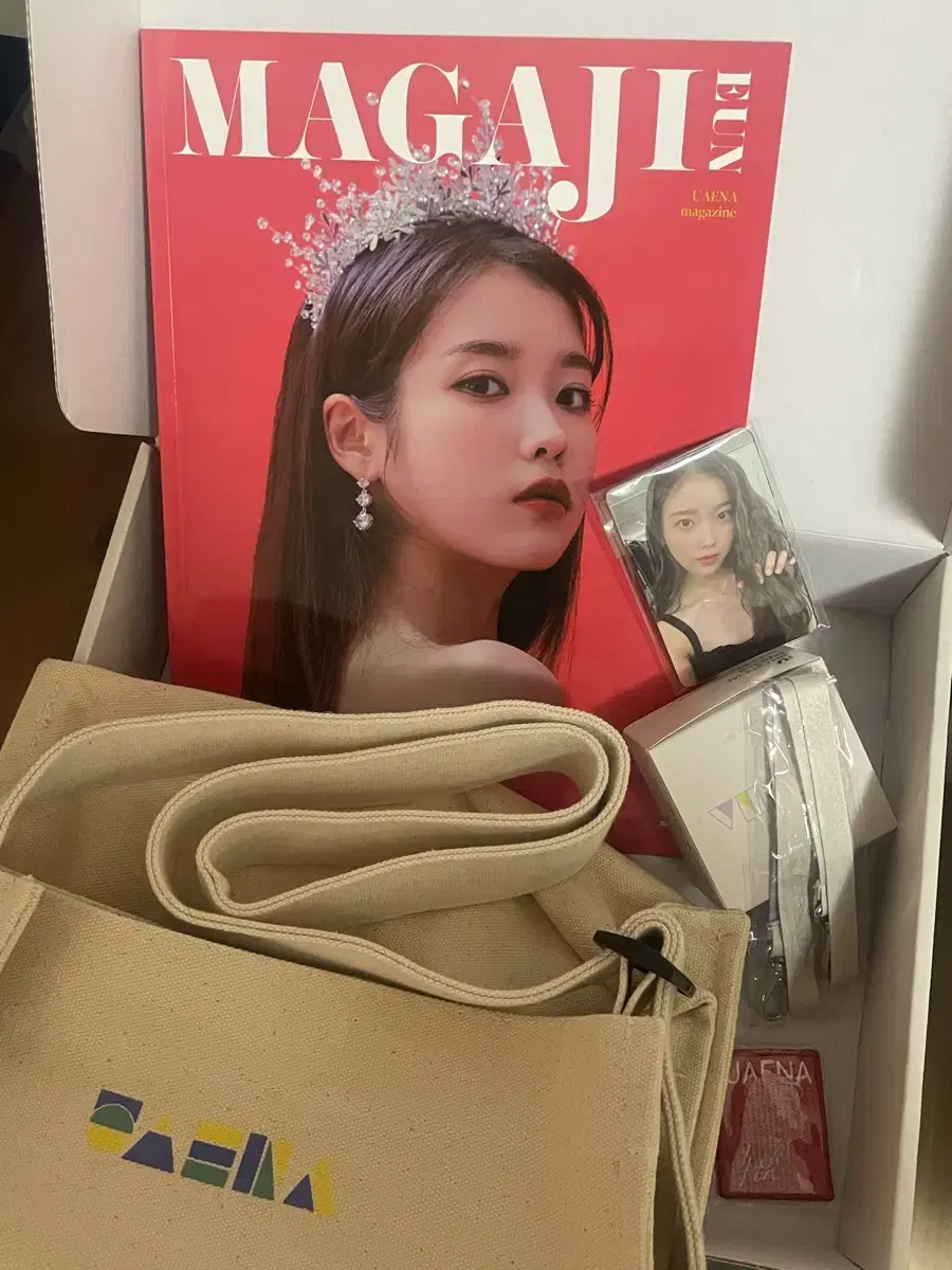 IU's 4th Season Fan Club Kit