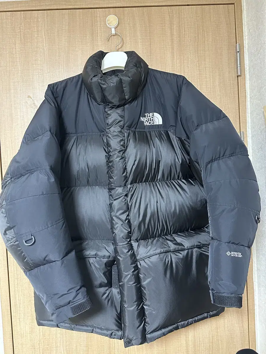 The North Face Japan Powerdown size L