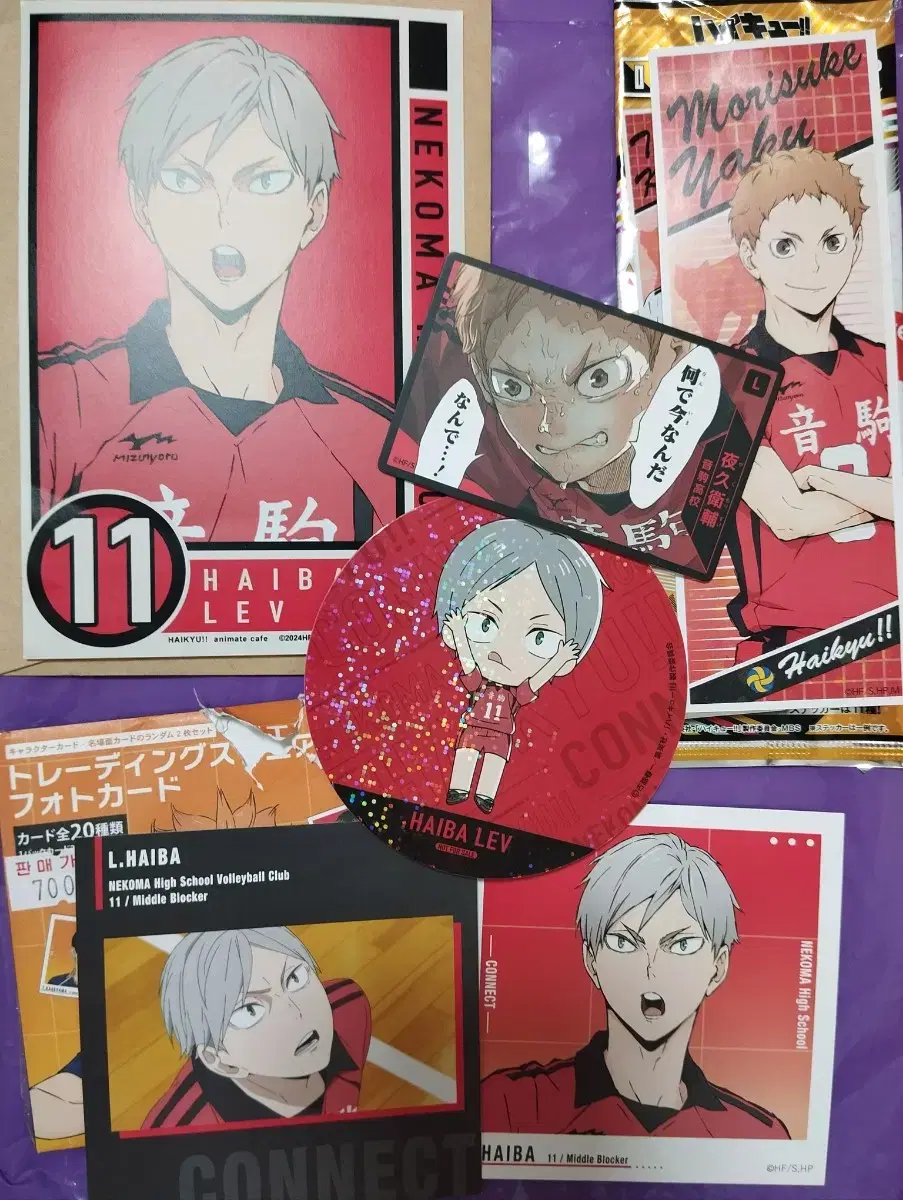 Haikyuu Animate Cafe Nekoma Haiba Lief pre-order benefit Other Bulk