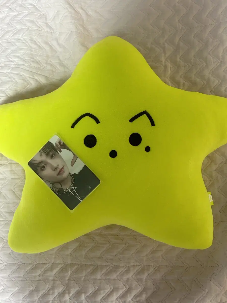 Mark Starfish Cushion