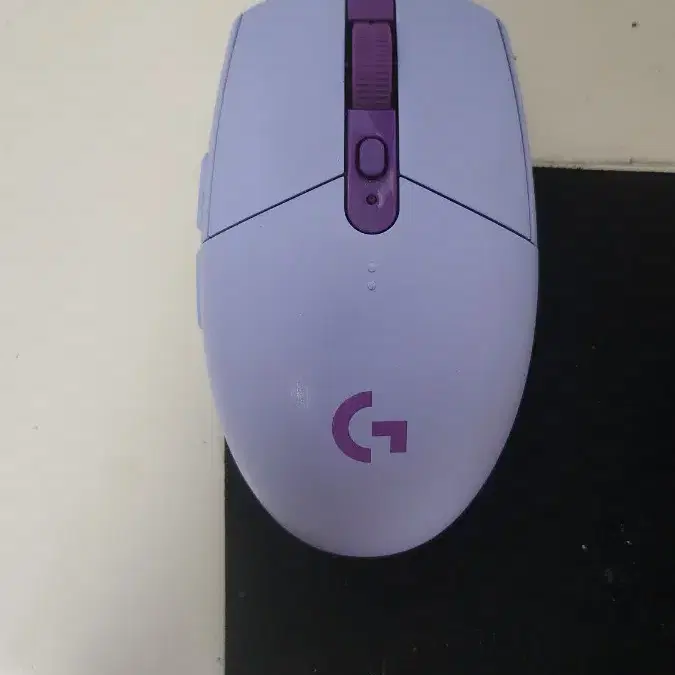 g304 라일락