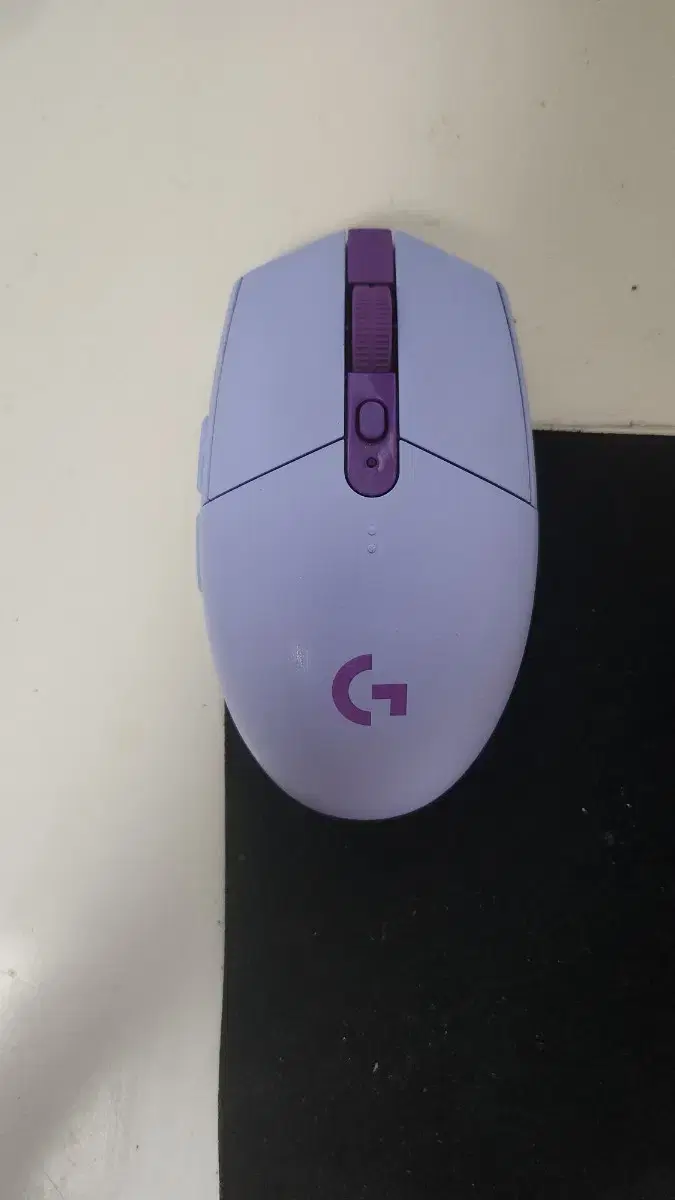 g304 라일락