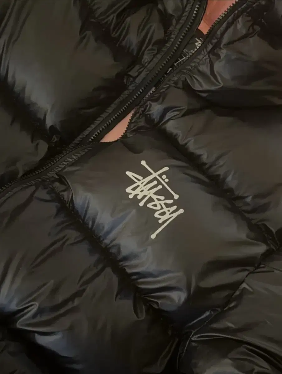 Stussy Micro Ripstop Down Parka Black