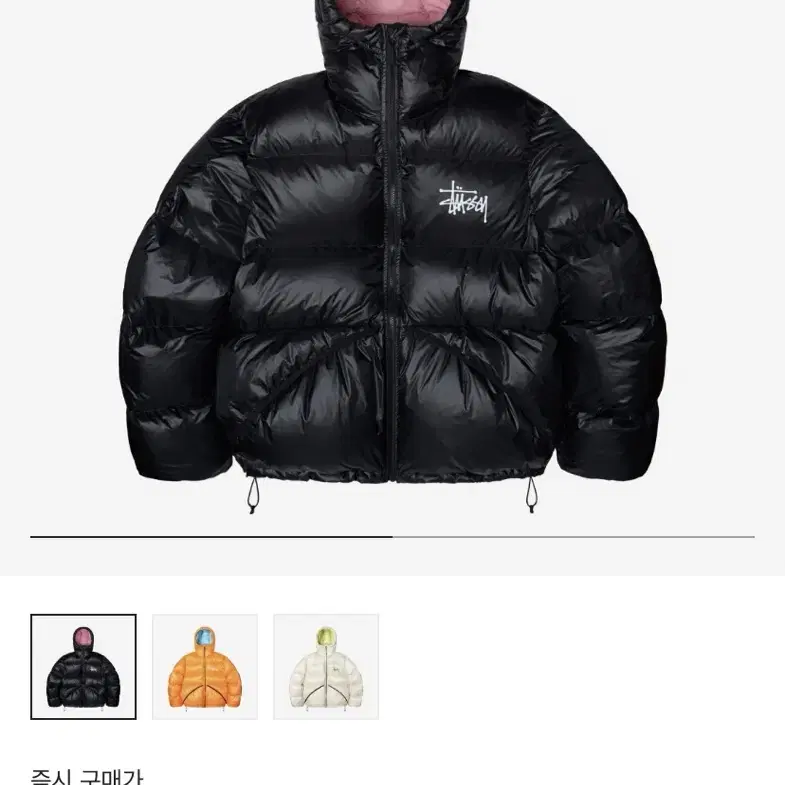 Stussy Micro Ripstop Down Parka Black