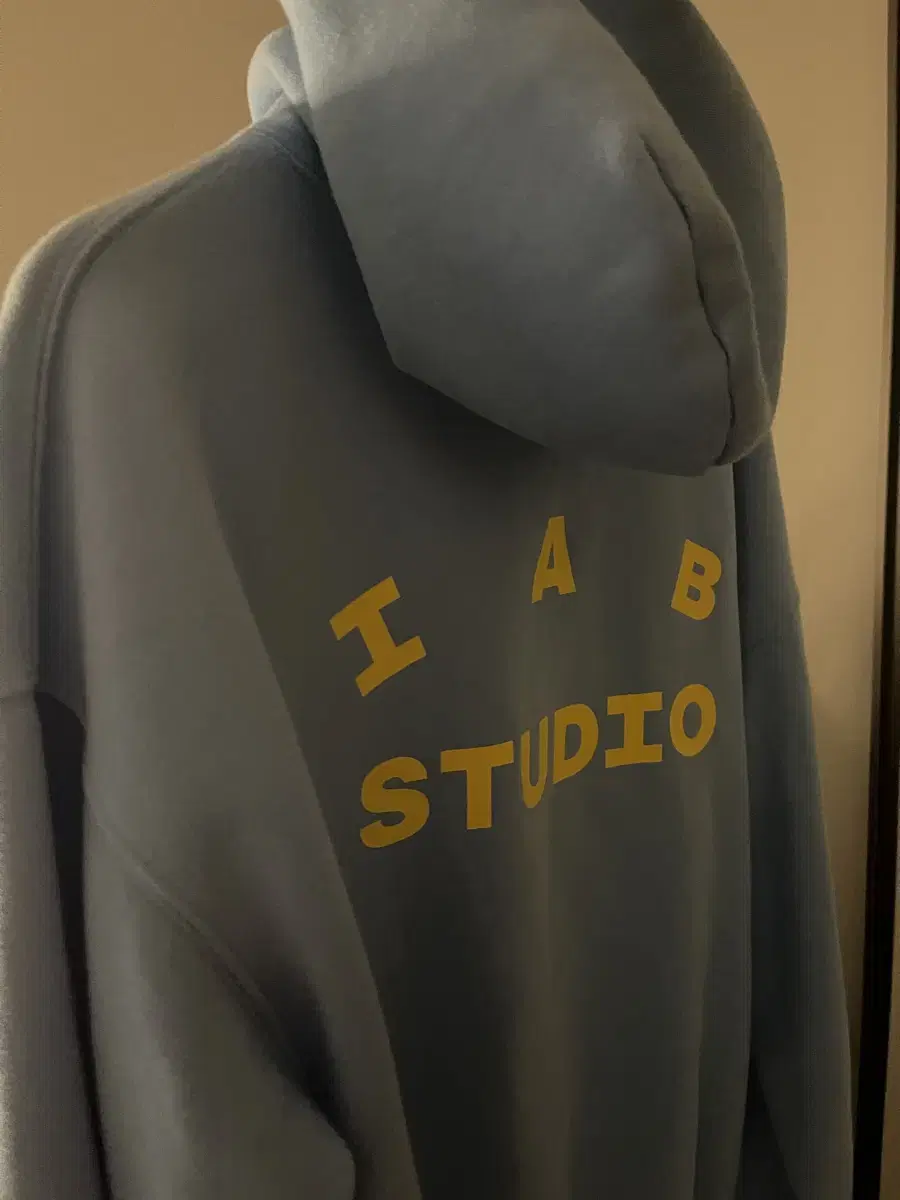 iappstudio hoodie bloo lemon L