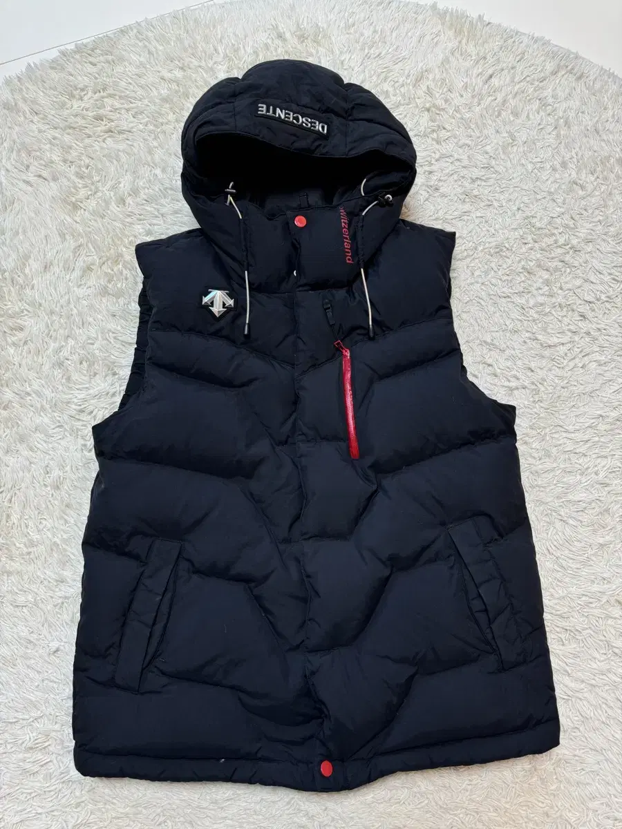 (Status SS) DescentsSwiss team rich goose padded jacket best100