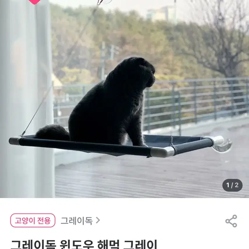 고양이 그레이독 윈도우 해먹 그레이