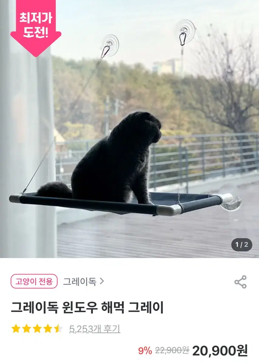 고양이 그레이독 윈도우 해먹 그레이