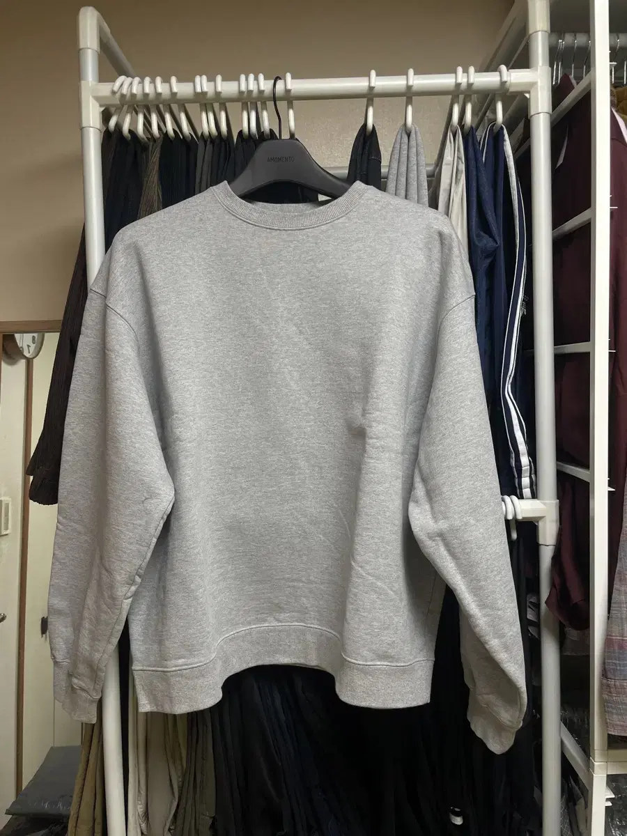 2) Hatching Room Sweatshirt Gray