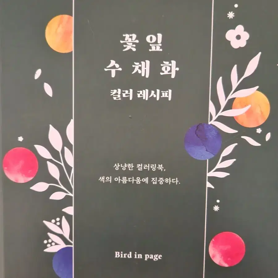 수채화 컬러 레시피(컬러링북