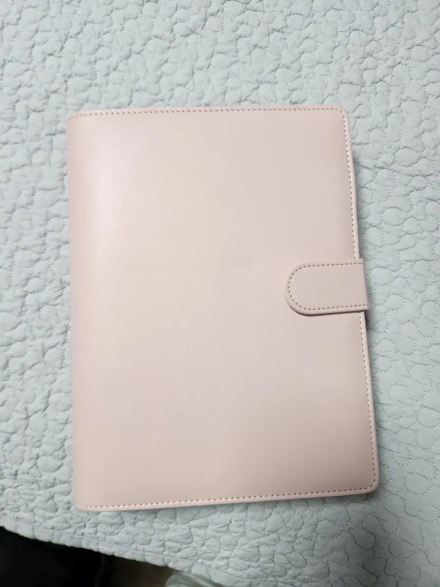 Macarons binder sell pink