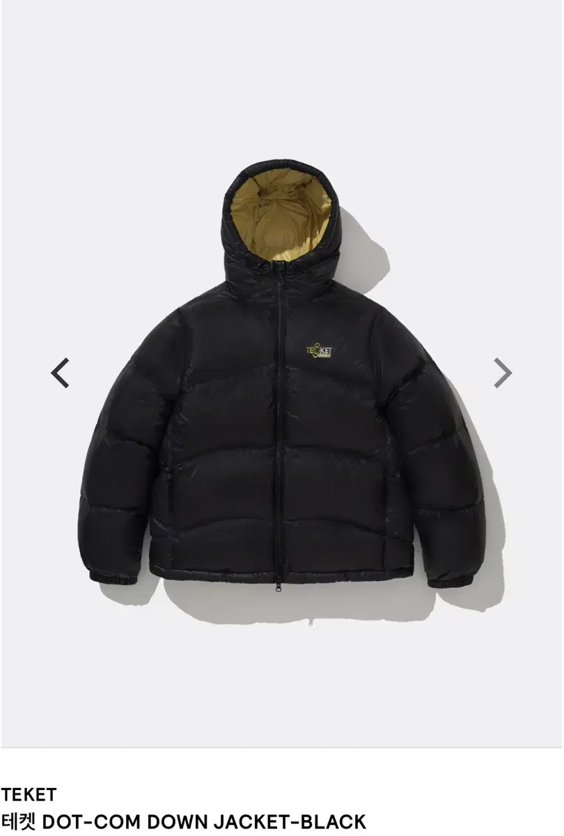 Techeck Padded Black DOT-COM DOWN JACKET-BLACK Down