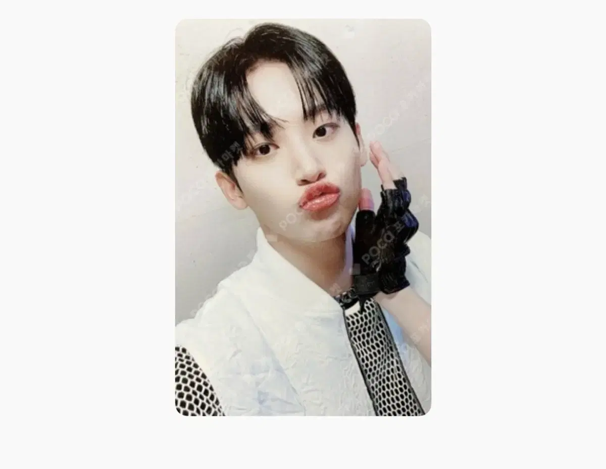 Cravity jungmo photocard Photocard