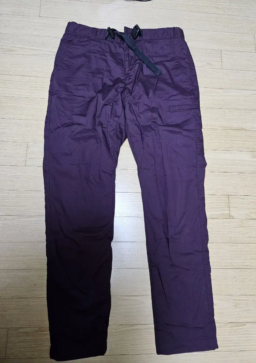 Uniqlo Winter Pants (Men's M)