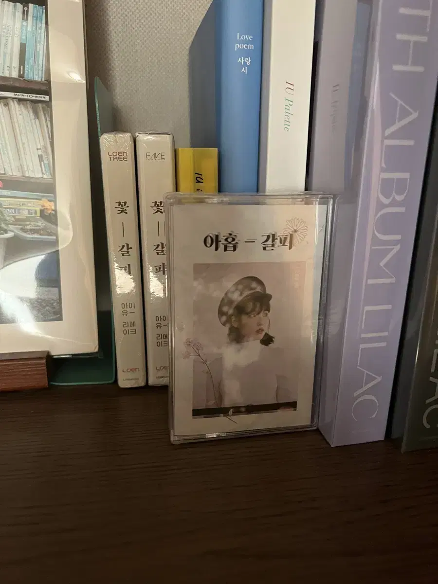 [unsealed] iu 9th anniversary fanmeeting nine-pin tape