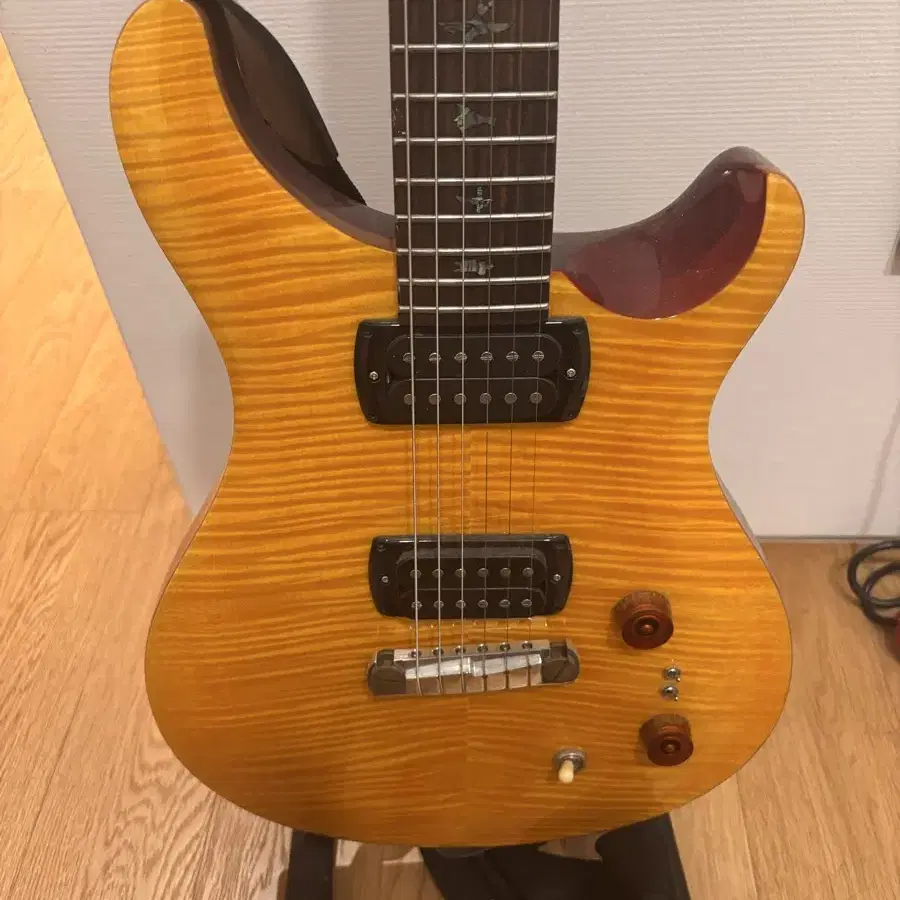 PRS SE 기타