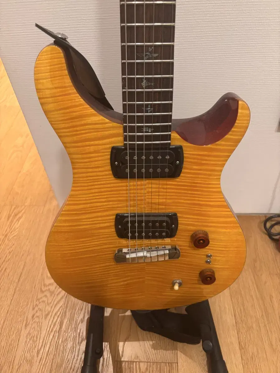 PRS SE 기타