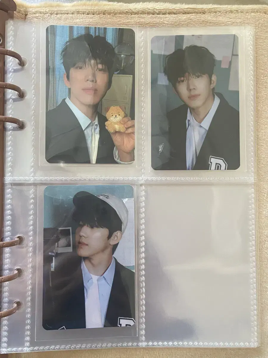 Day 6 Denimals pop up Photobinder Done photocard Bulk