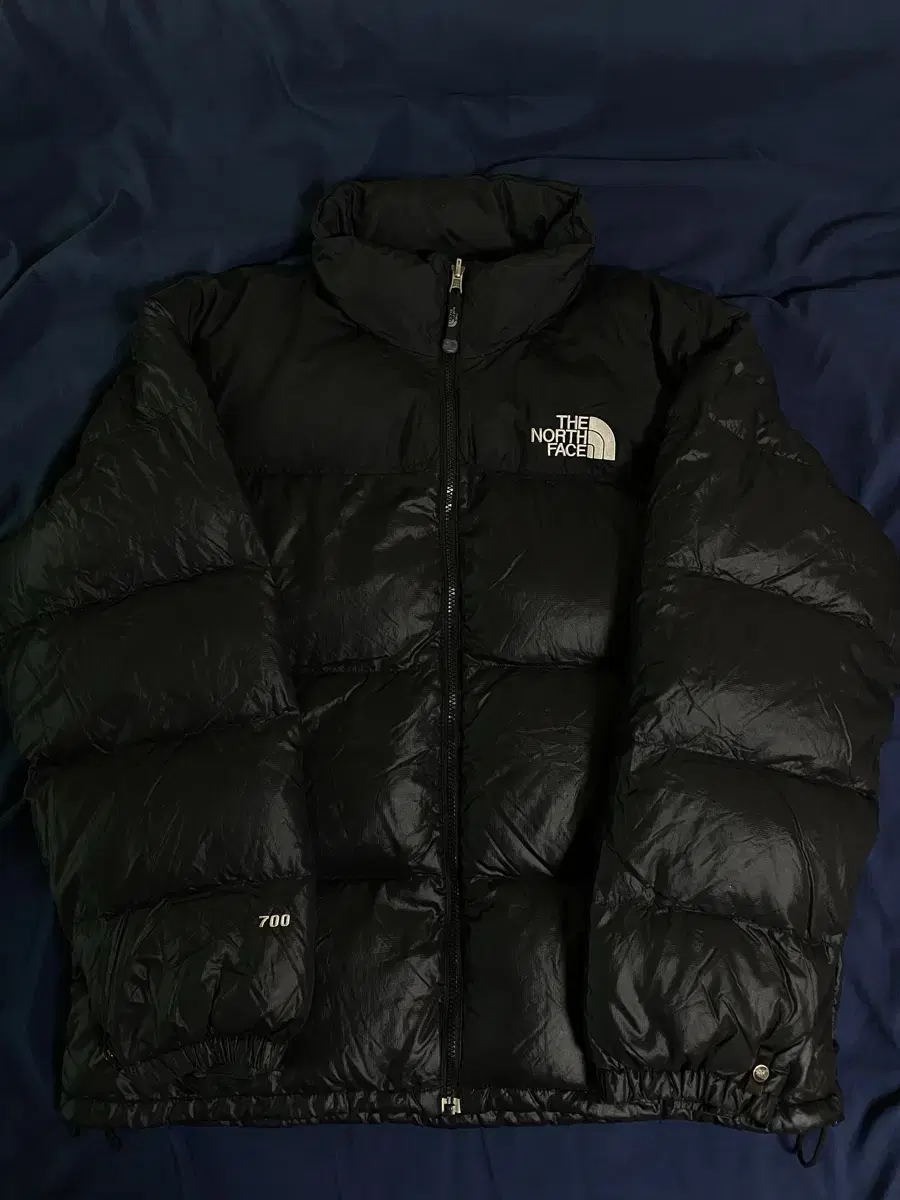 The North Face Nupsi 700 Padding