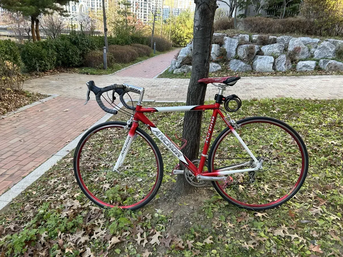 상급 구성(울테그라) 로드 자전거 팝니다