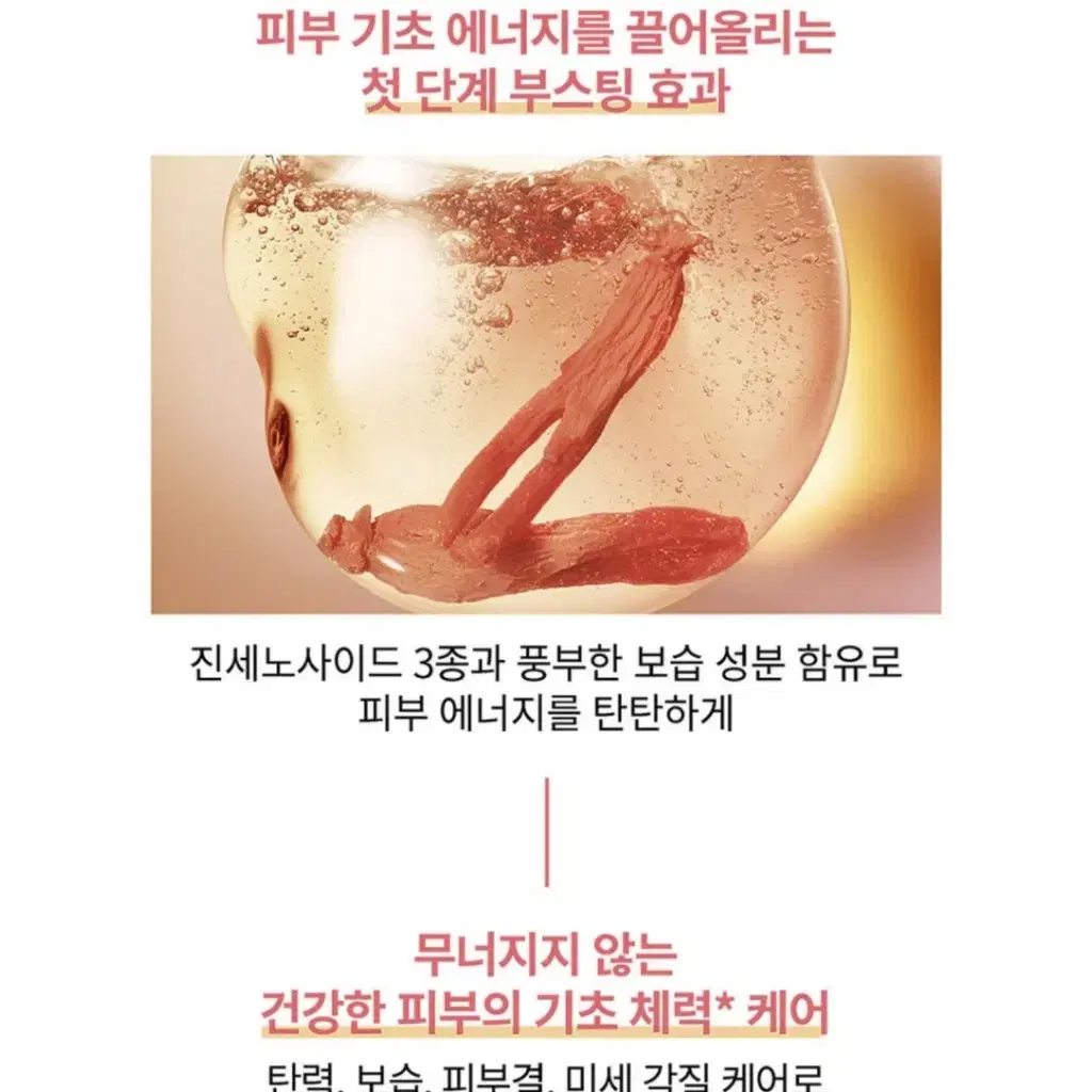 정관장 동인비 1899 싱글에센스 세트 세상품