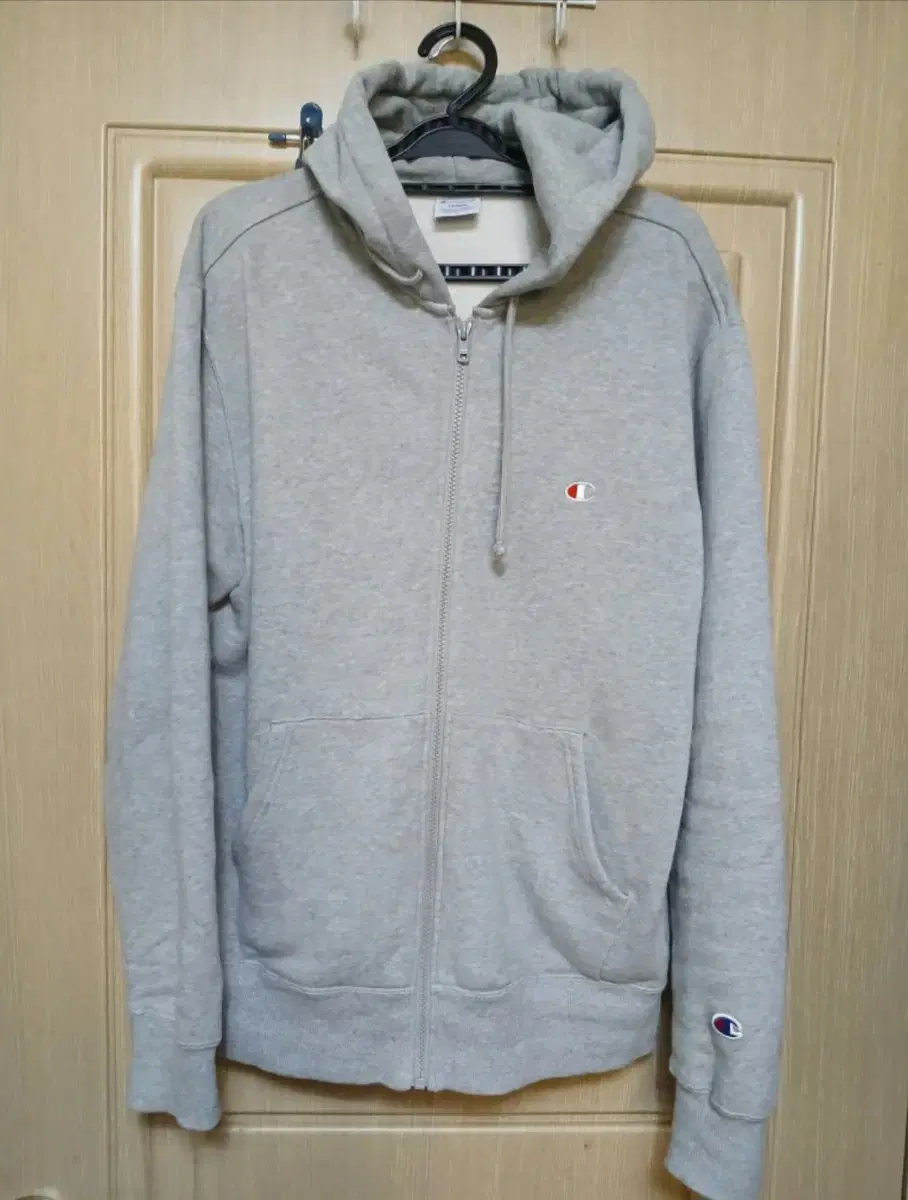 Champion Brushed Hoodie100