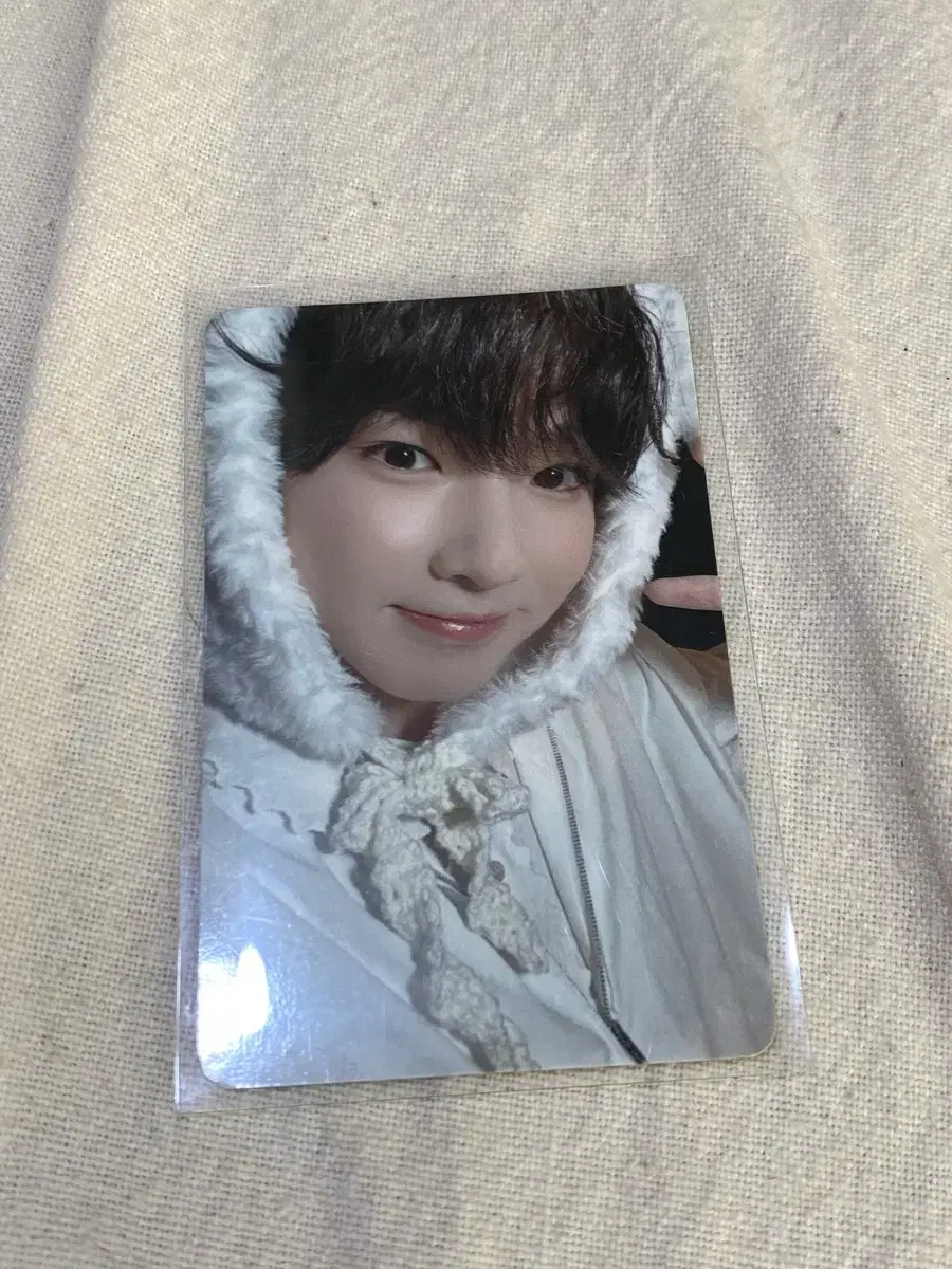 Sakuya Japan Membership Photocard