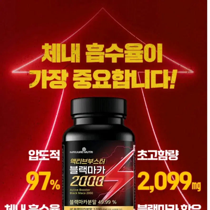 액티브 부스터 블랙마카 2000 1병 120정