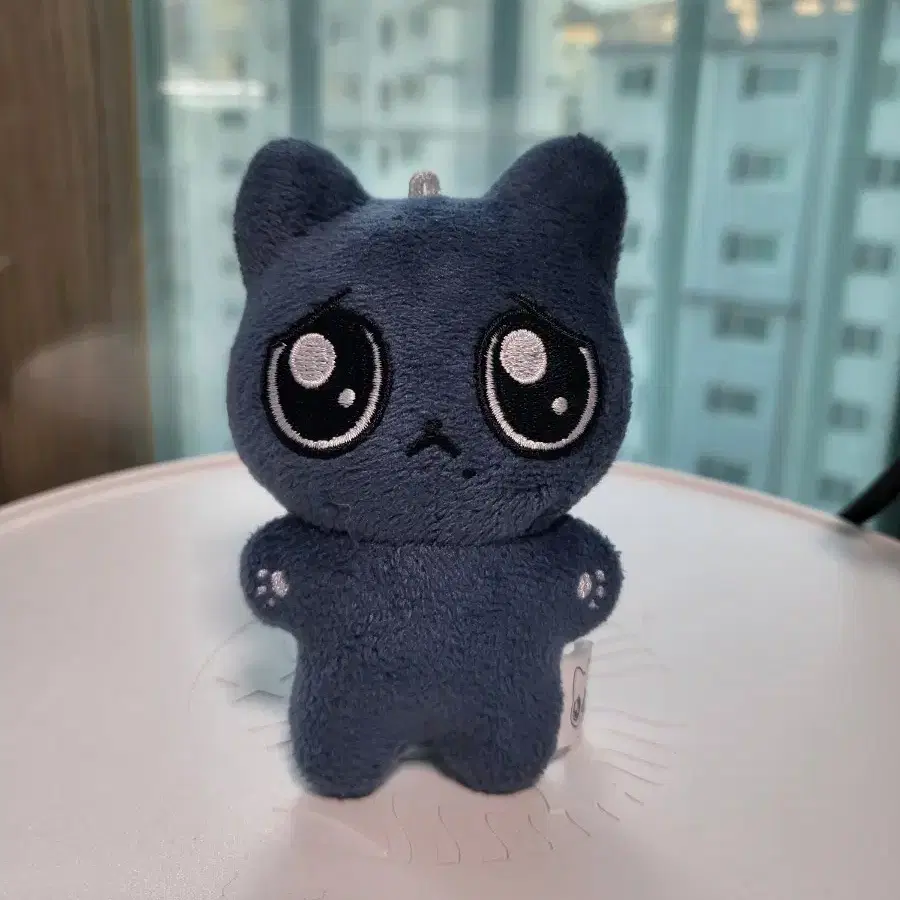 배포 1.8) 직냥이 팔아요