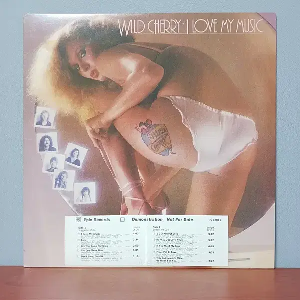 Wild Cherry  "I Love My Music"