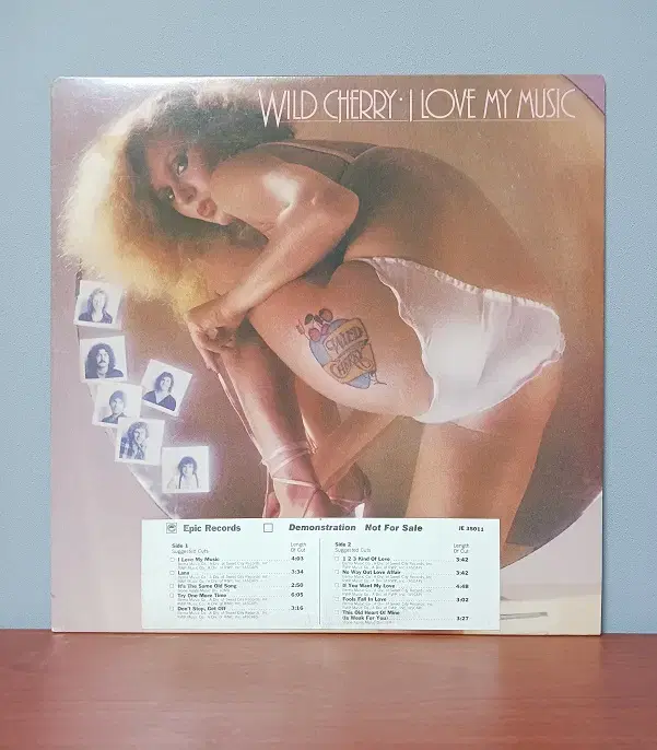 Wild Cherry  "I Love My Music"